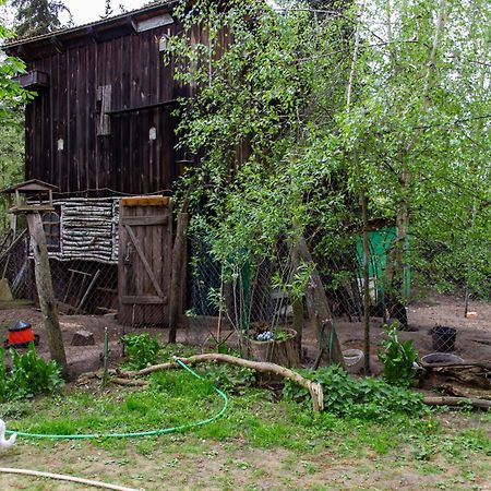 SchmogrowStorchenhofアパートメント エクステリア 写真
